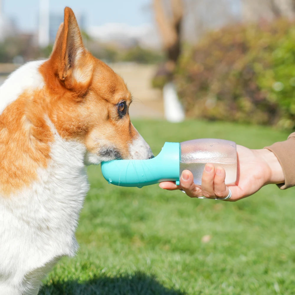 Pet Dog Water Bottle 300ML Puppy Drinking Bowls For Small Medium Dogs and Cats Hiking Portable Cat Feeder Golden Retriever Supplies