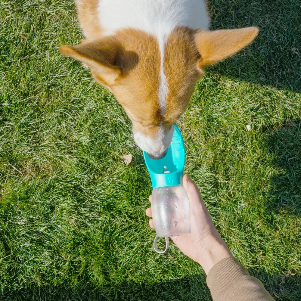 Pet Dog Water Bottle 300ML Puppy Drinking Bowls For Small Medium Dogs and Cats Hiking Portable Cat Feeder Golden Retriever Supplies